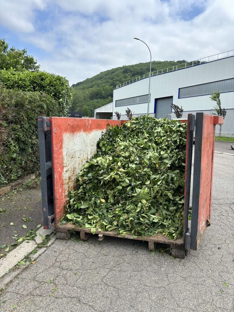 location de benne à déchet vert à Strasbourg
